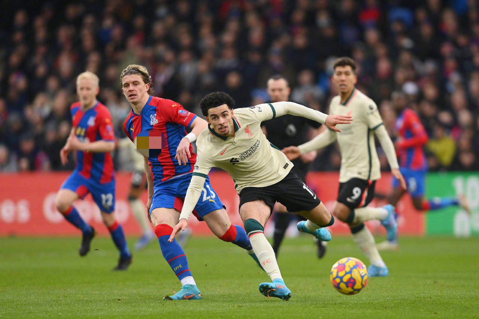 从球场到演 从球场到演