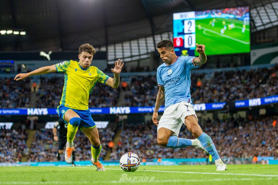 随着智力体 随着智力体